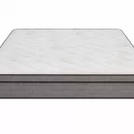 SalteaPocketGoldSaltex2