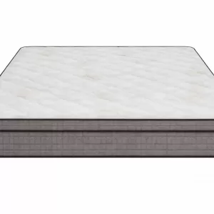 SalteaPocketGoldSaltex2