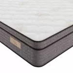 SalteaPocketGoldSaltex4